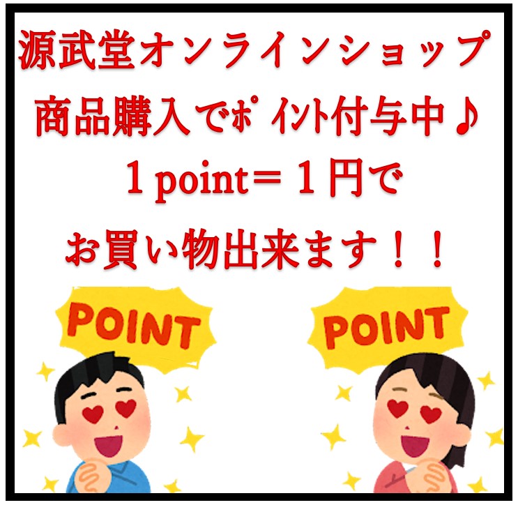 剣道 竹刀 防具 火の国 鎧甲手 宮本武蔵 熊本 武道具 防具 甲手 掛軸